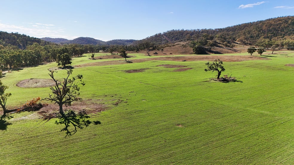 Click to view all images Gulgong NSW 2852 - Image 1