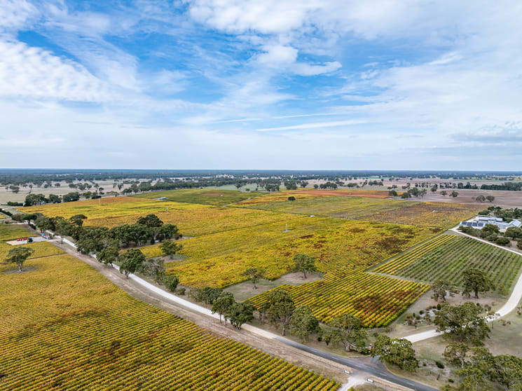 Click to view all images 182 Mclean Road Coonawarra SA 5263 - Image 2