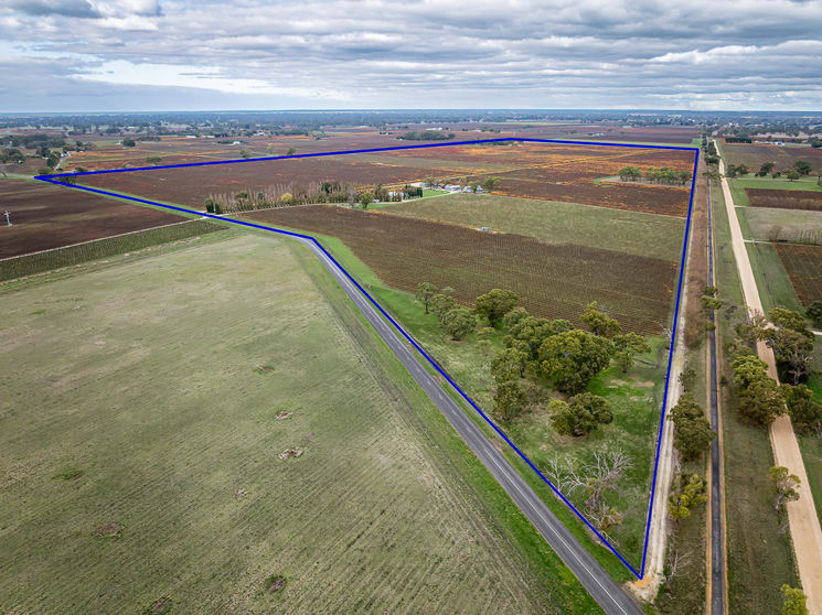 Click to view all images 91 Maaoupe Road Penola SA 5277 - Image 3