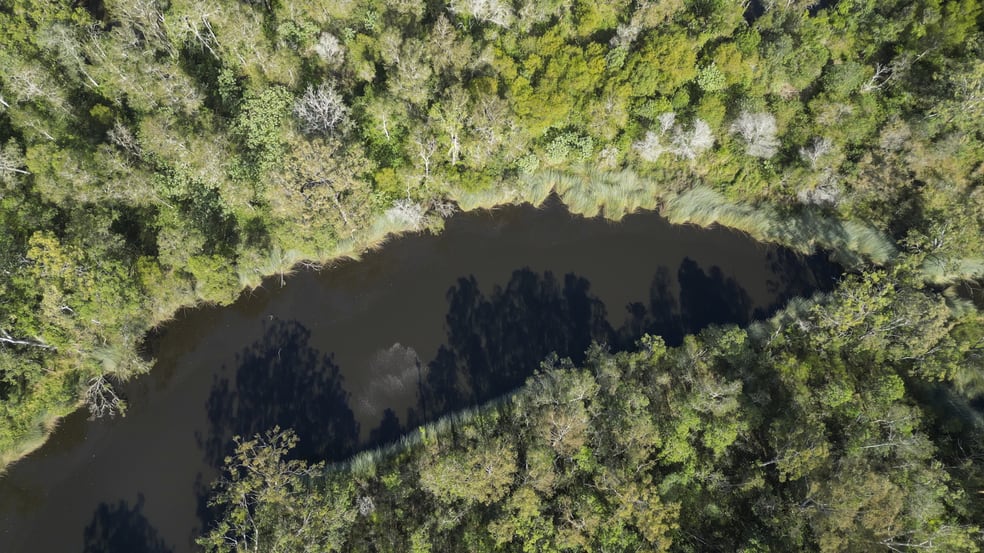 127 Firth Heinz Road Pillar Valley NSW 2462 - Image 3