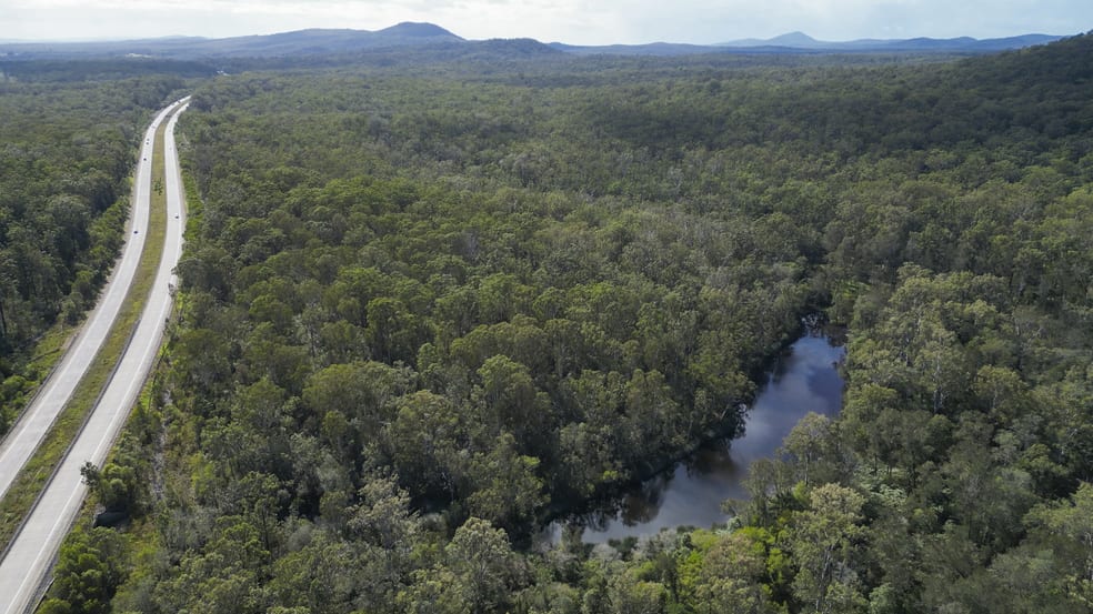 127 Firth Heinz Road Pillar Valley NSW 2462 - Image 2