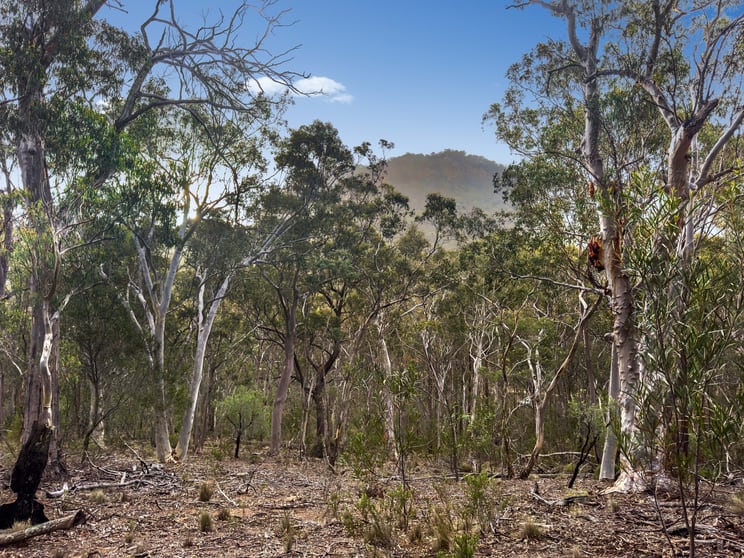 Click to view all images Lot 22 Glen Davis Road Capertee NSW 2846 - Image 1