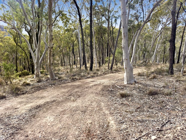 Click to view all images Lot 22 Glen Davis Road Capertee NSW 2846 - Image 2