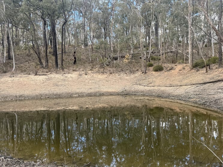 Click to view all images Lot 22 Glen Davis Road Capertee NSW 2846 - Image 3