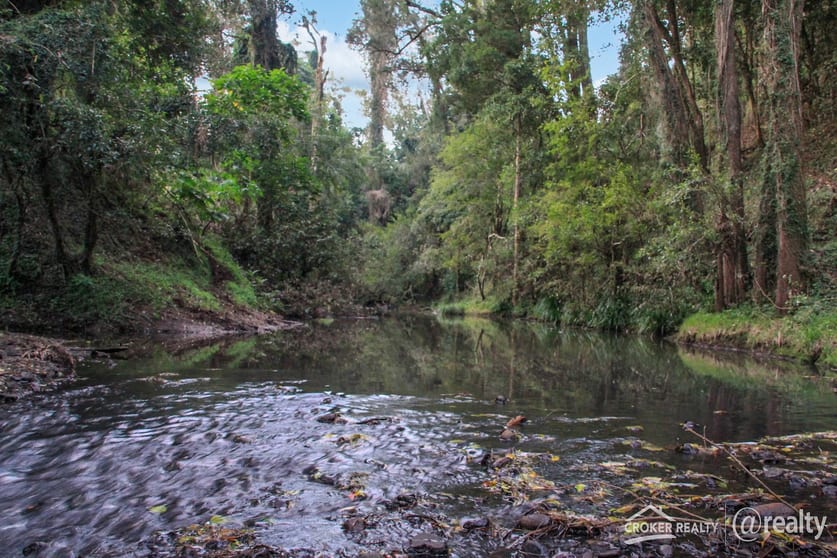 Click to view all images Lot 23 Hillyards Road Boorabee Park NSW 2480 - Image 3