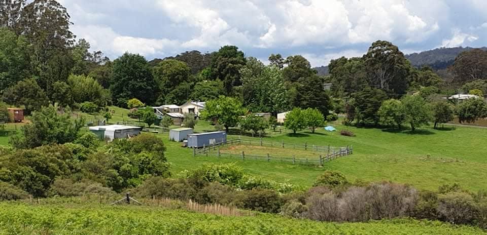 Click to view all images 7630 Armidale Rd Billys Creek NSW 2453 - Image 1