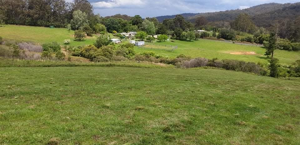 Click to view all images 7630 Armidale Rd Billys Creek NSW 2453 - Image 3