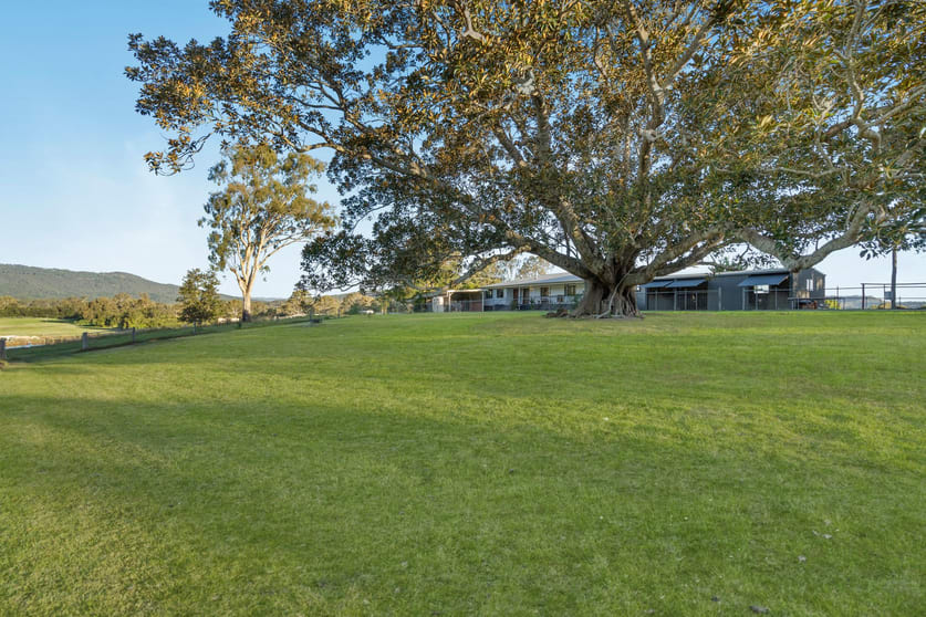 Click to view all images 45 Biddaddaba Road Boyland QLD 4275 - Image 1