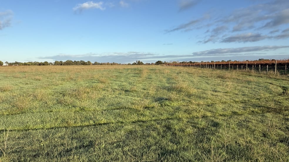 Lot 495 Ravenswood Lane Penola SA 5277 - Image 3