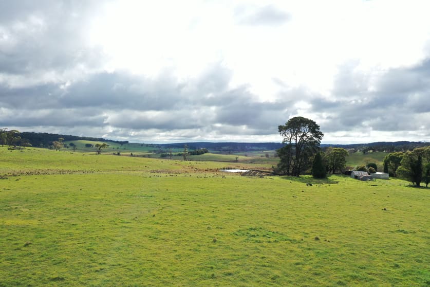 1005 Mount Rae Road Taralga NSW 2580 - Image 2
