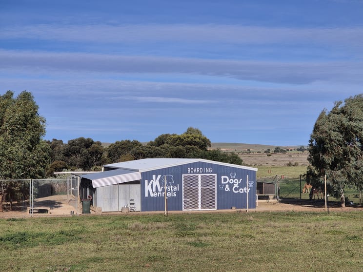 1260 Beniah Road Yongala SA 5493 - Image 2