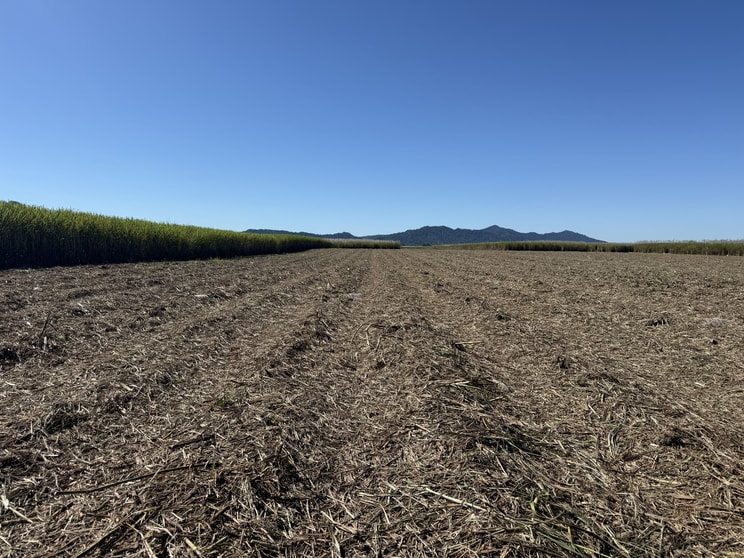 Click to view all images Feluga QLD 4854 - Image 2