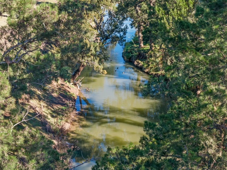 1260 Freestone Road Freestone QLD 4370 - Image 3
