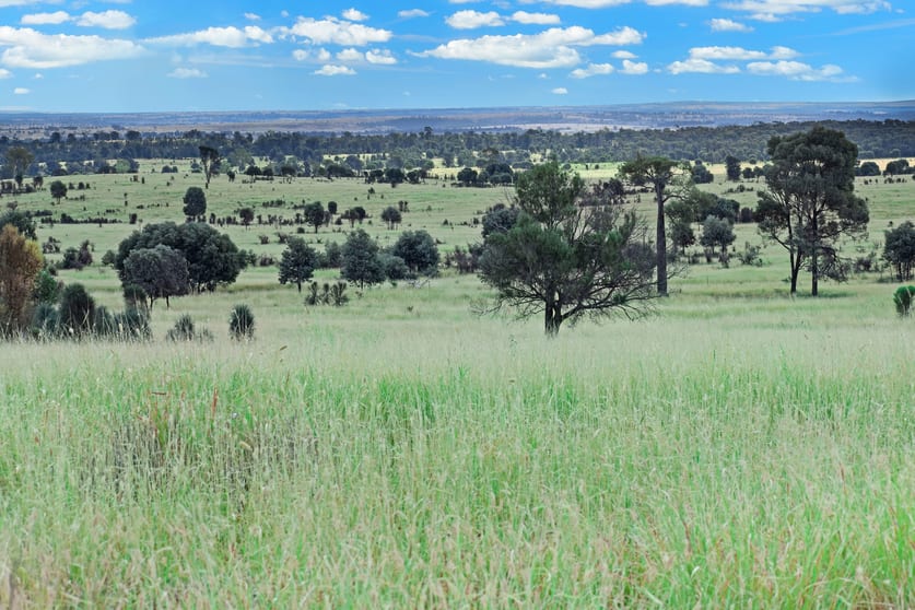 Click to view all images " Kooringa " Roma QLD 4455 - Image 2