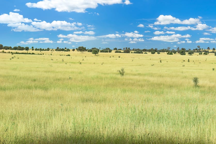 Click to view all images " Kooringa " Roma QLD 4455 - Image 3