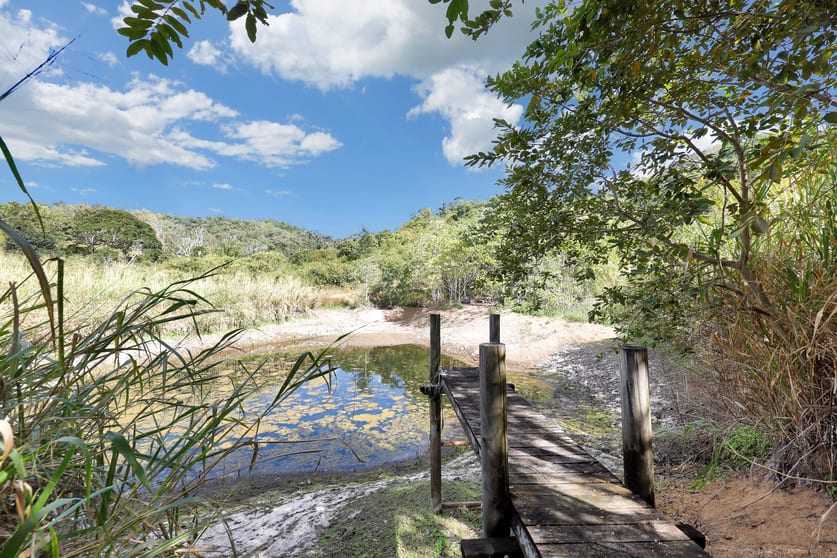 621 Middle Creek Road Sarina QLD 4737 - Image 3