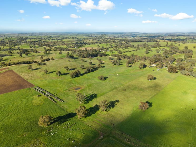Click to view all images 201 Mcgormans Road Mount Pleasant SA 5235 - Image 3