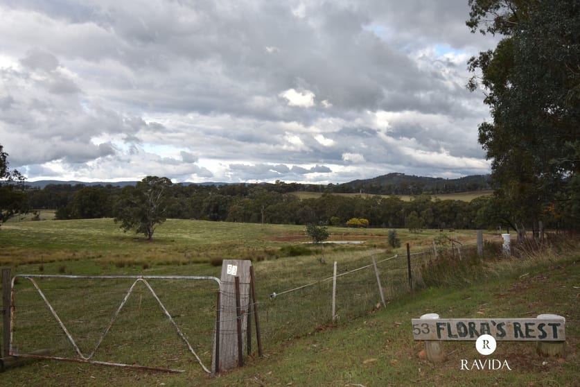 53 Voigts Road Beechworth VIC 3747 - Image 1
