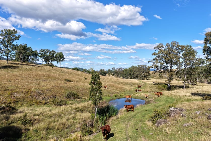 Lower Cressbrook QLD 4313 - Image 2