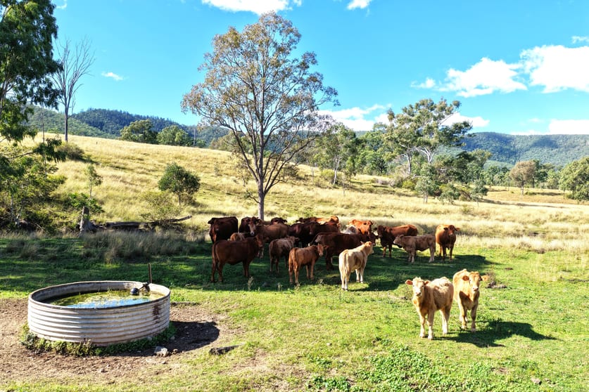 Lower Cressbrook QLD 4313 - Image 3