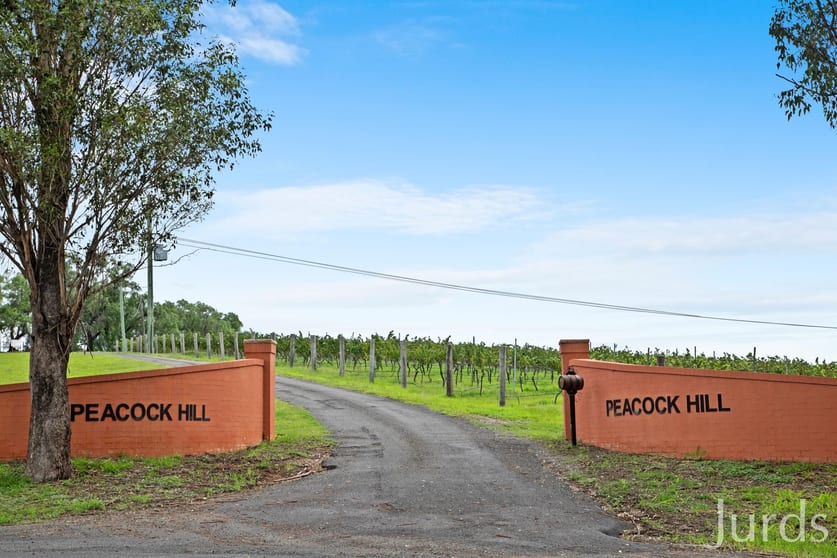 Click to view all images 29 Palmers Lane Pokolbin NSW 2320 - Image 3