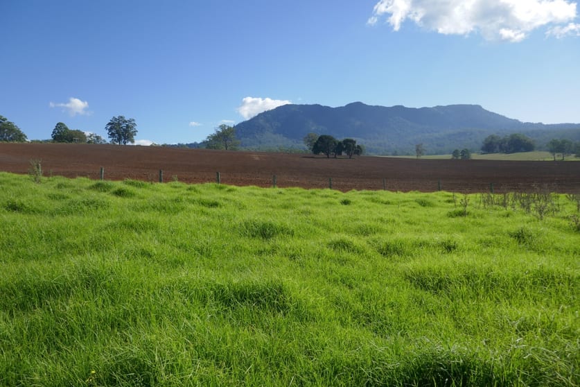 Woodenbong NSW 2476 - Image 3