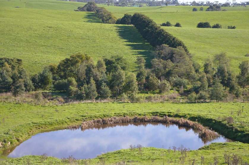 900 Mount Lyall Road Nyora VIC 3987 - Image 3