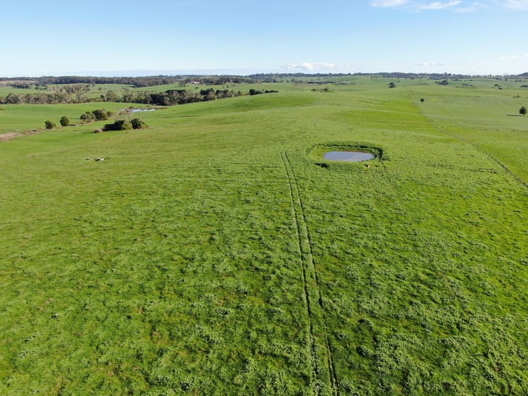 900 Mount Lyall Road Nyora VIC 3987 - Image 1