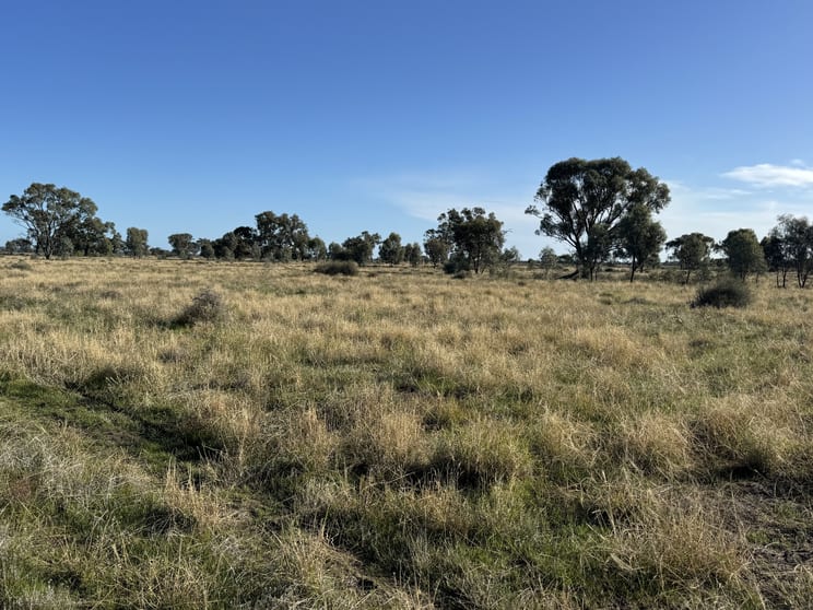 Click to view all images 1500 Murrabit-Swan Hill Road Gonn NSW 2732 - Image 1