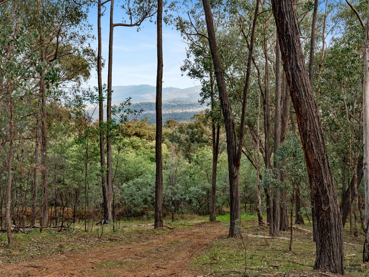 Lot 23 Tatong-Tolmie Rd Tatong VIC 3673 - Image 1