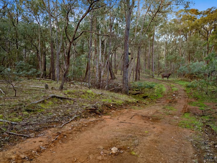 Lot 23 Tatong-Tolmie Rd Tatong VIC 3673 - Image 2