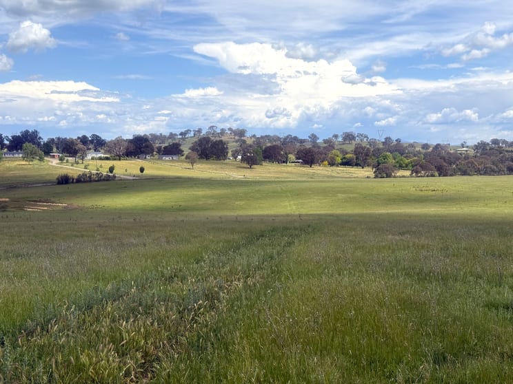 161 Yass Valley Way Yass NSW 2582 - Image 1