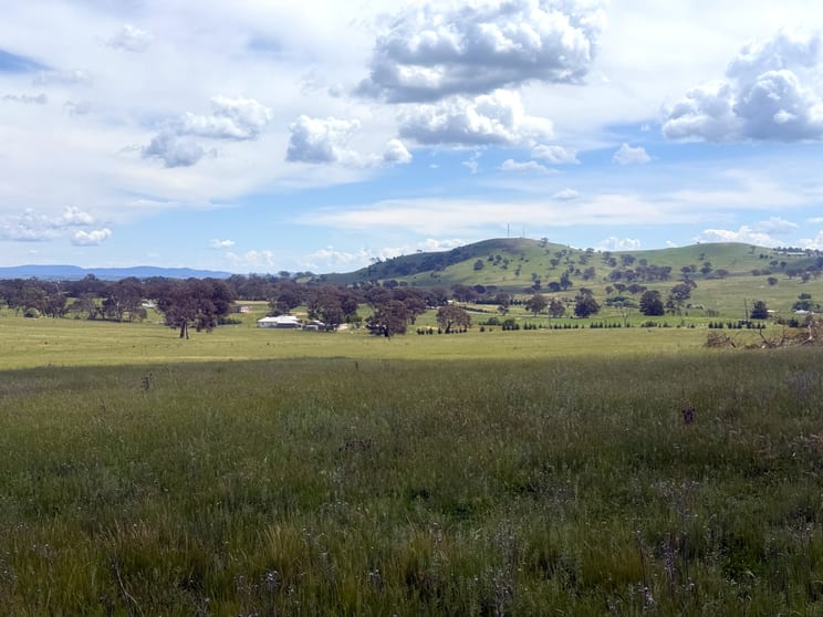 161 Yass Valley Way Yass NSW 2582 - Image 2