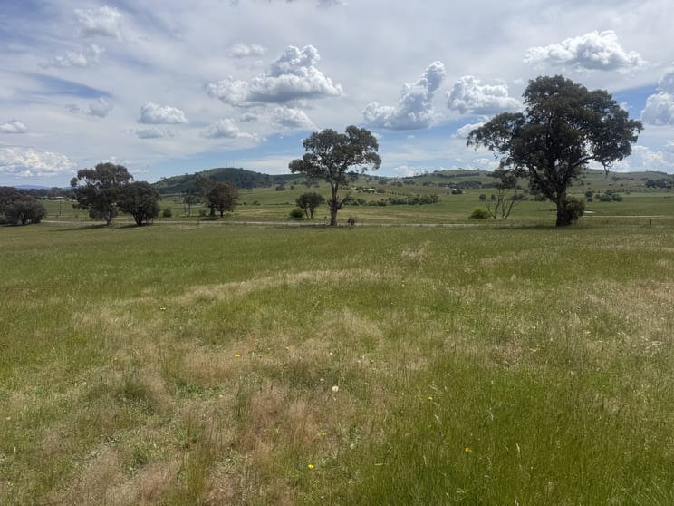 161 Yass Valley Way Yass NSW 2582 - Image 3