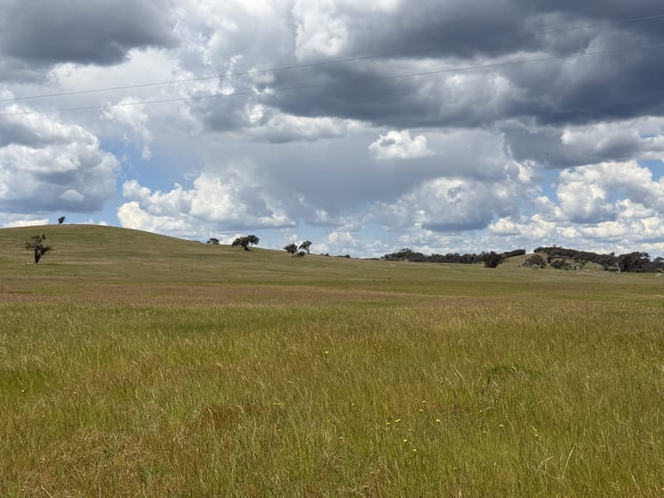 83 Yass Valley Way Yass NSW 2582 - Image 2