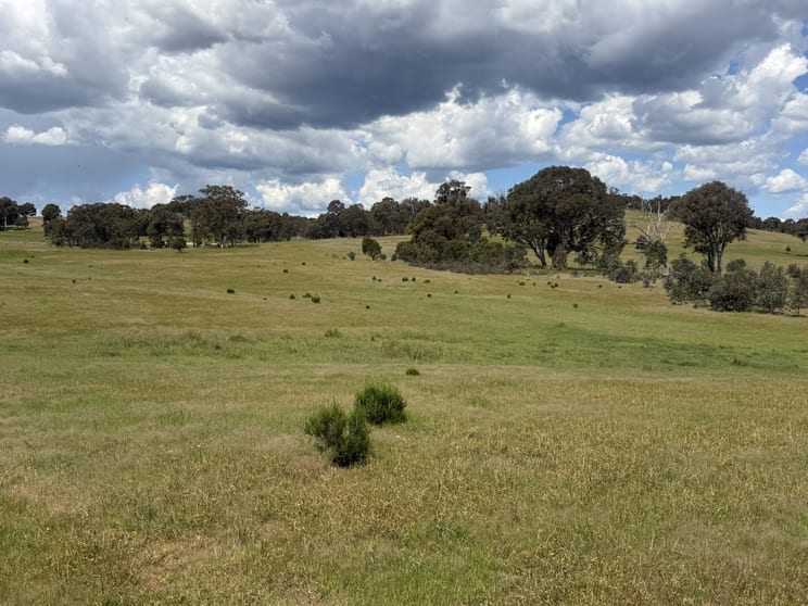 83 Yass Valley Way Yass NSW 2582 - Image 3