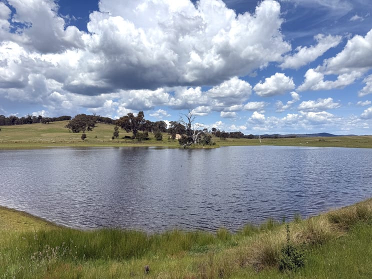 129 Yass Valley Way Yass NSW 2582 - Image 2