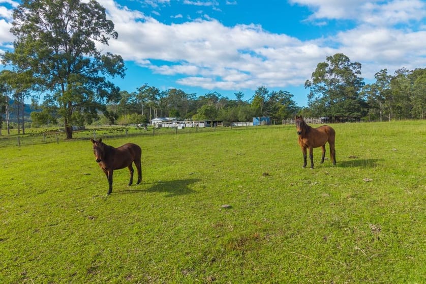 Click to view all images 98 Misty Ridge Bellangry NSW 2446 - Image 3