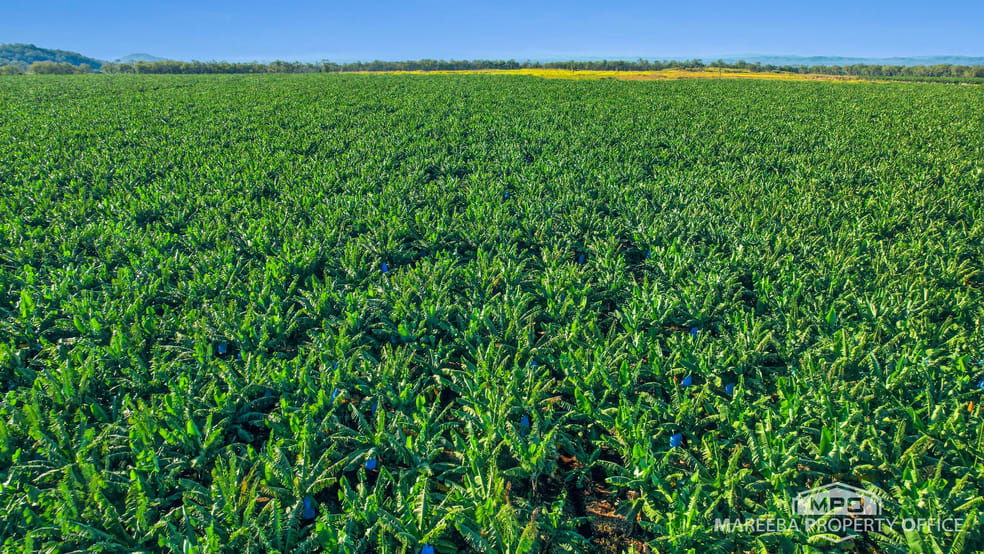 Click to view all images 1597 Chewko Road Walkamin QLD 4872 - Image 2