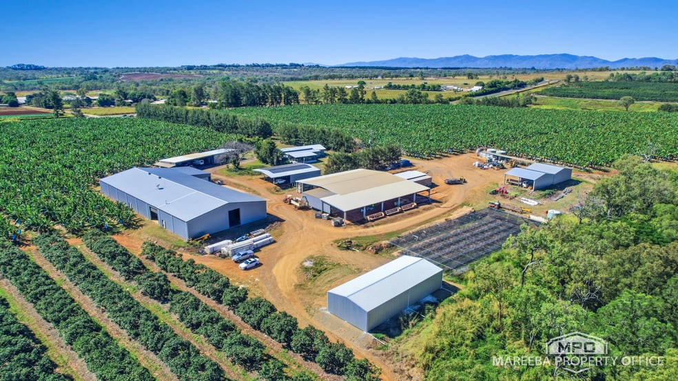 737 Channel Road Walkamin QLD 4872 - Image 3