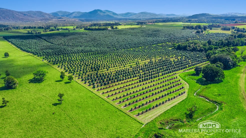Click to view all images 46 Hughes Road Upper Barron QLD 4883 - Image 1
