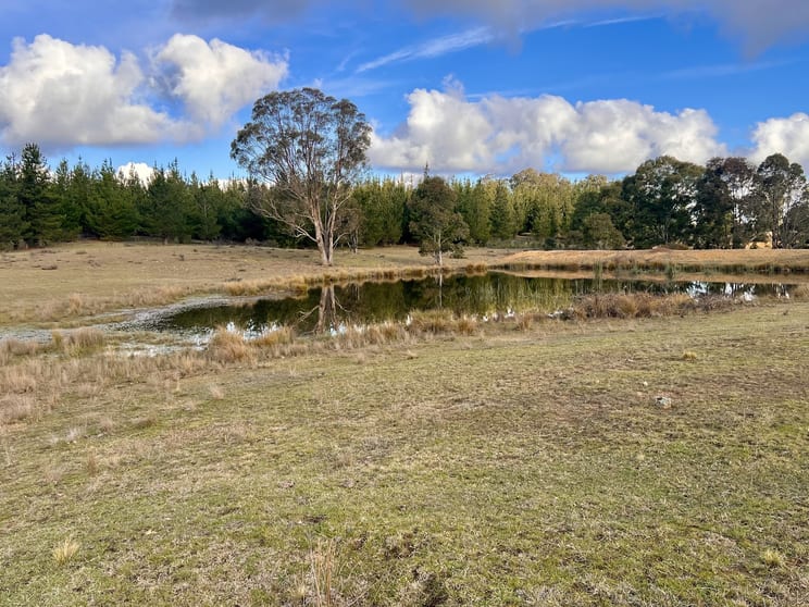Click to view all images 3814 Oallen Ford Road Windellama NSW 2580 - Image 1