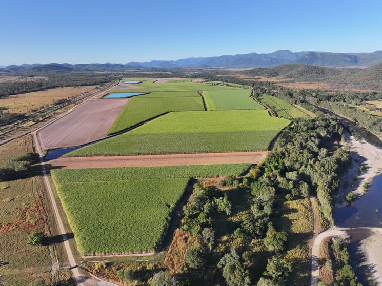 Click to view all images 215 Bloomsbury Back Road Bloomsbury QLD 4799 - Image 1