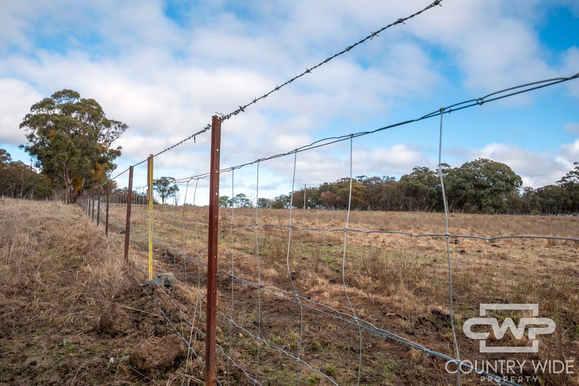 Click to view all images 1642 Torrington Road Stannum NSW 2371 - Image 3