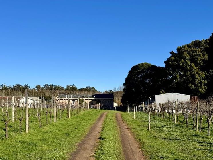14591 Vasse Highway (Eastbrook) Pemberton WA 6260 - Image 3
