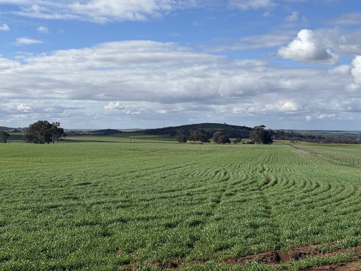Click to view all images 141/ Eudunda Road Frankton SA 5374 - Image 3