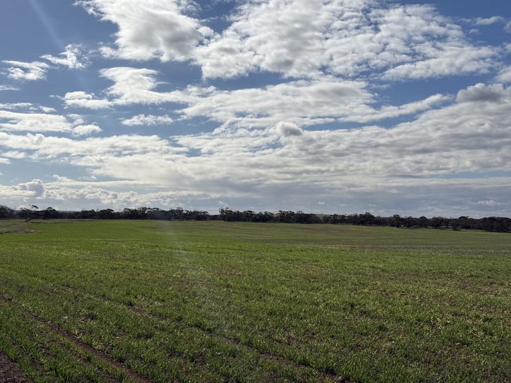 305/ Goyder Road Neales Flat SA 5374 - Image 2