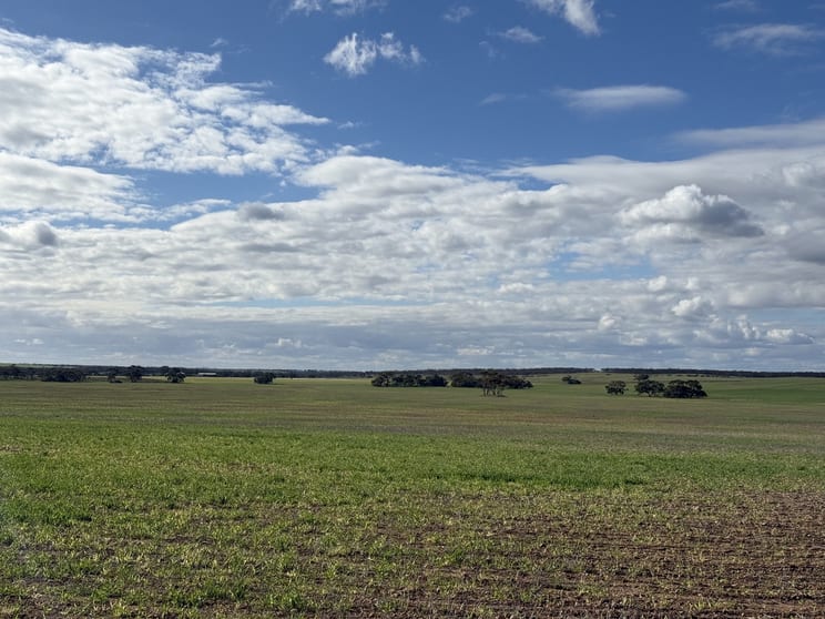 305/ Goyder Road Neales Flat SA 5374 - Image 3