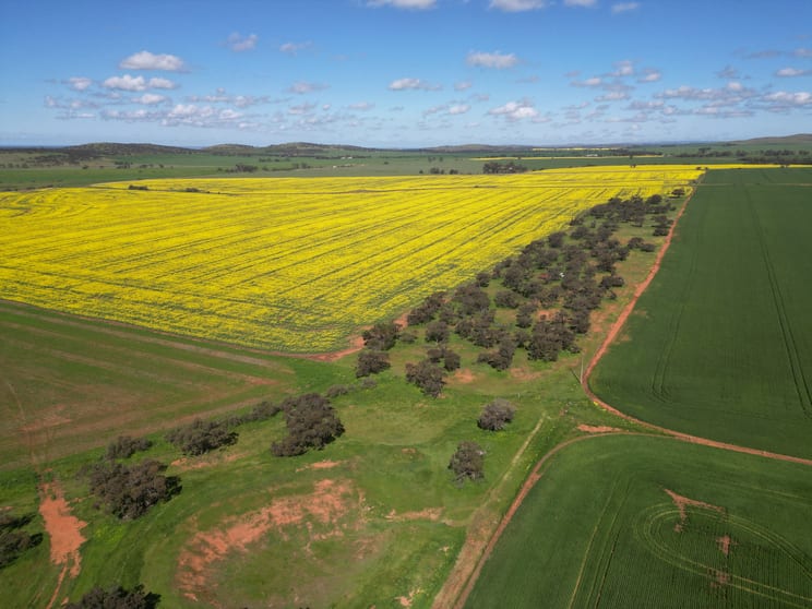 Click to view all images 25/ Brownlow Road Neales Flat SA 5374 - Image 2