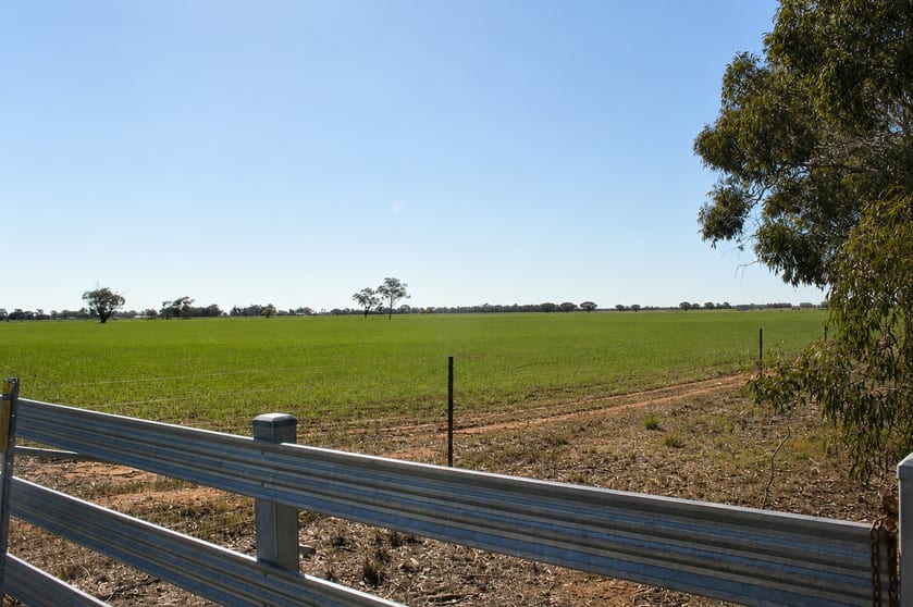 Click to view all images 1226 Wilson Road Tongala VIC 3621 - Image 3